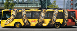 Street marketing serpent sur bus 