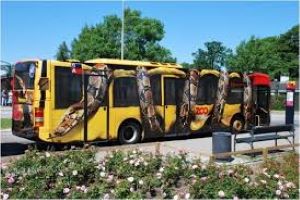 bus-serpent-copenhague