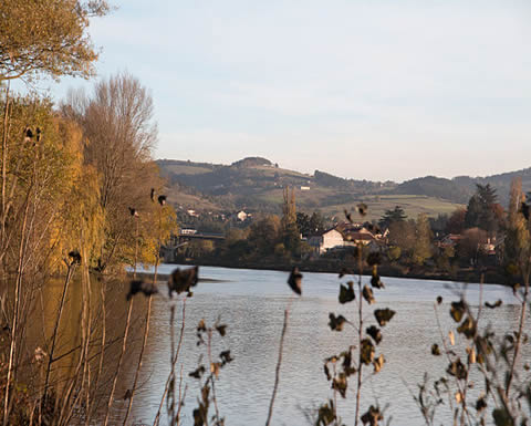 Image de la ville de Montbrison