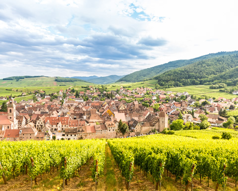 Image de la ville de Riquewihr