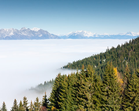 Image de la ville de Le Collet d'Allevard