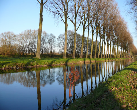 Image de la ville de Roubaix