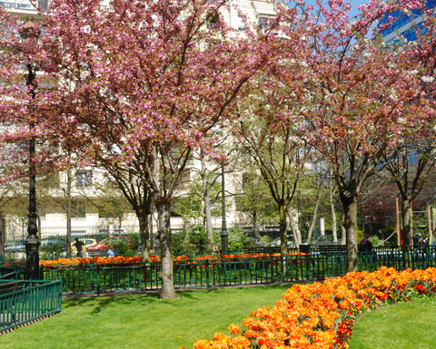 Image de la ville de Levallois-Perret