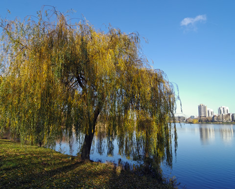 Image de la ville de Créteil