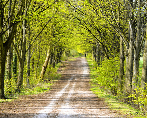 Image de la ville de Clamart